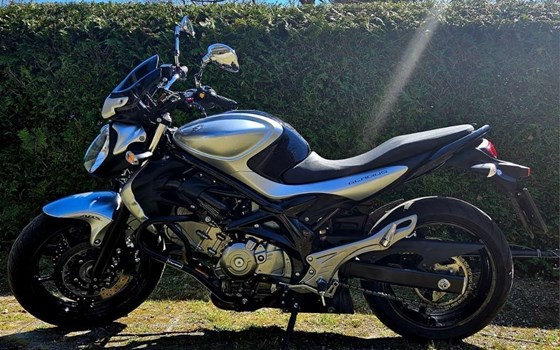 Gebrauchtmotorrad Suzuki SFV 650 Gladius - Bild 6