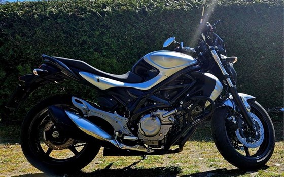 Gebrauchtmotorrad Suzuki SFV 650 Gladius - Bild 7