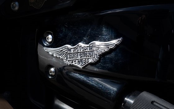 Gebrauchtmotorrad Harley-Davidson Softail Fat Bob 114 FXFBS - Bild 23