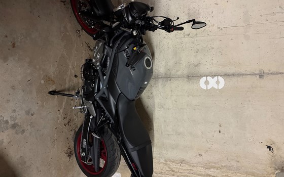 Gebrauchtmotorrad Suzuki SV650 - Bild 3