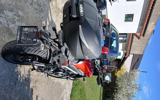 Gebrauchtmotorrad Yamaha Tracer 9 - Bild 3