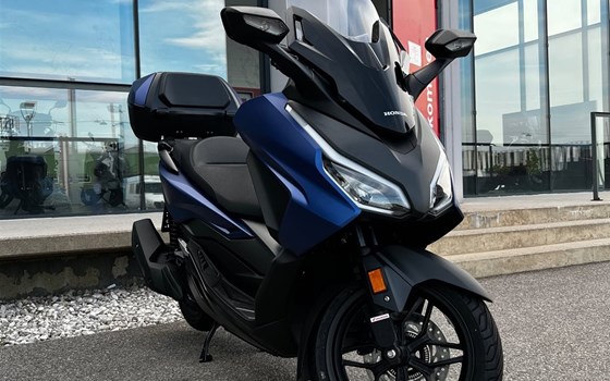 Gebrauchtmotorrad Honda Forza 125 - Bild 1