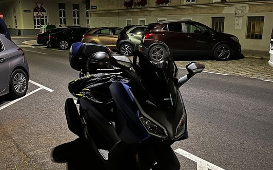 Gebrauchtmotorrad Honda Forza 125 - Bild 2