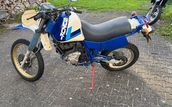 Gebrauchtmotorrad Suzuki DR 600 - Bild 6