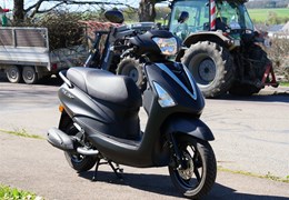 Gebrauchte Yamaha D'elight