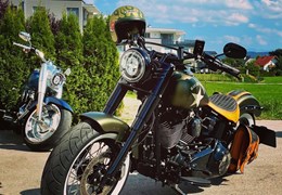 Gebrauchte Harley-Davidson Softail Slim S