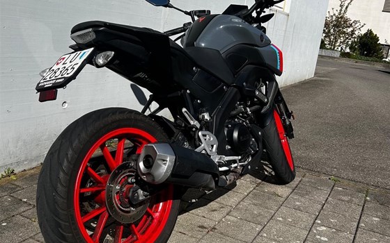 Motorrad Occasion Yamaha MT-125 - Bild 4