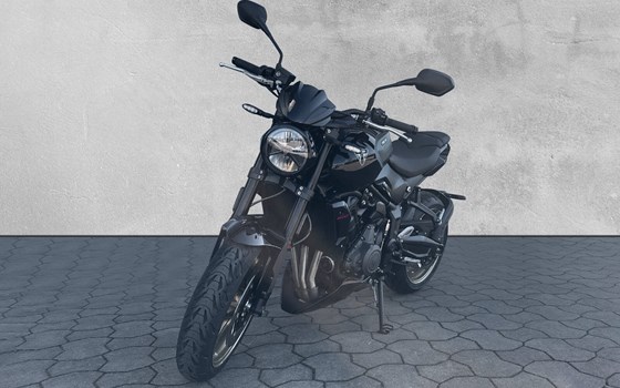 Neufahrzeug Triumph Trident 800 - Bild 1