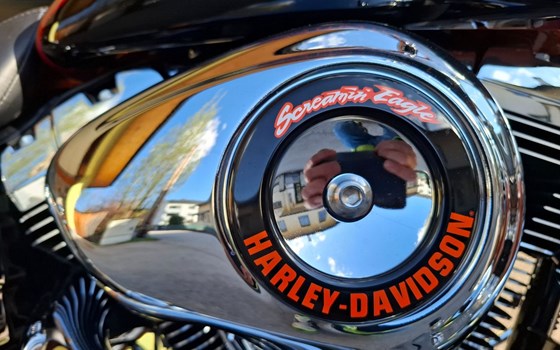 Gebrauchtmotorrad Harley-Davidson Dyna Low Rider FXDL - Bild 1