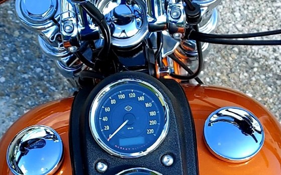 Gebrauchtmotorrad Harley-Davidson Dyna Low Rider FXDL - Bild 5