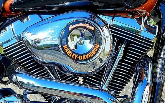 Gebrauchtmotorrad Harley-Davidson Dyna Low Rider FXDL - Bild 7