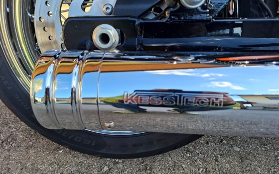 Gebrauchtmotorrad Harley-Davidson Dyna Low Rider FXDL - Bild 9