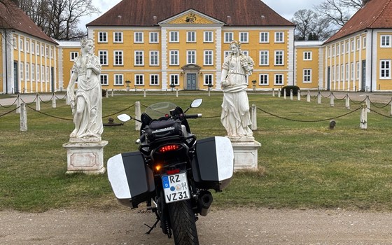 Gebrauchtmotorrad Triumph Sprint GT - Bild 4