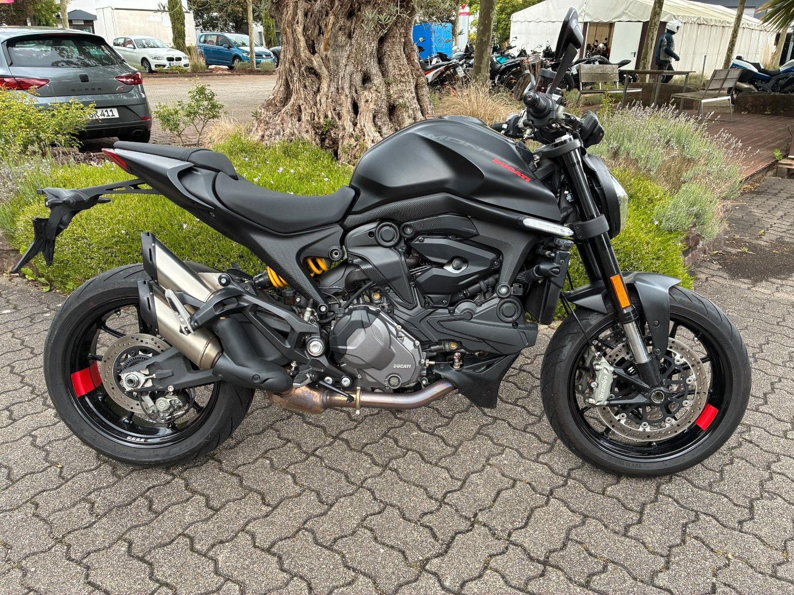 Ducati Monster