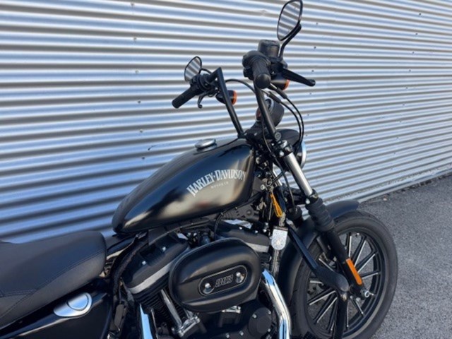 Harley-Davidson Sportster XL 883 N Iron (schwarz) - Bild 5