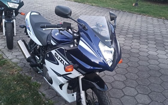 Gebrauchtmotorrad Suzuki GS 500F - Bild 4