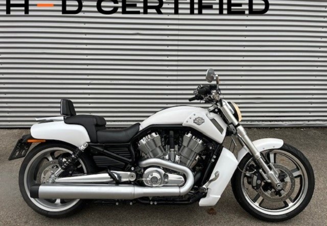 Harley-Davidson V-Rod Muscle VRSCF (weiss)