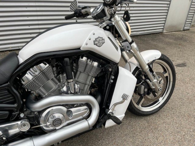 Harley-Davidson V-Rod Muscle VRSCF (weiss) - Bild 3