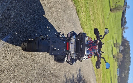 Gebrauchtmotorrad BMW R 1250 GS - Bild 4