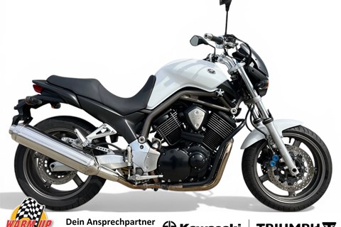 YAMAHA BT 1100 Bulldog - Gebrauchtberatung