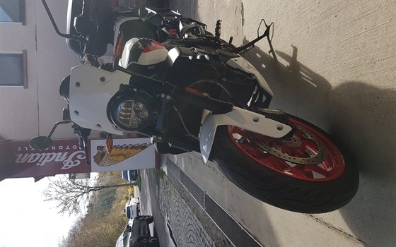 Gebrauchtmotorrad Indian FTR Sport - Bild 2