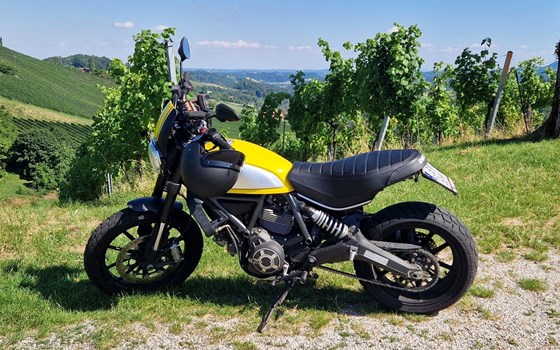 Gebrauchtmotorrad Ducati Scrambler Icon - Bild 3