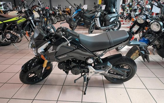 Gebrauchtmotorrad Honda MSX 125 - Bild 1