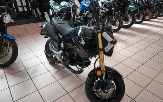 Gebrauchtmotorrad Honda MSX 125 - Bild 3