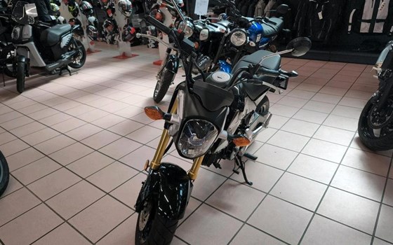 Gebrauchtmotorrad Honda MSX 125 - Bild 4