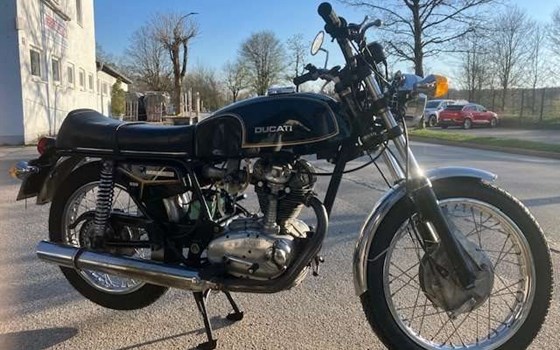 Gebrauchtmotorrad Ducati Mach 1 - Bild 5