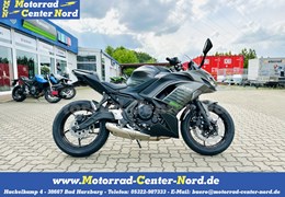 Neumotorrad Kawasaki Ninja 650