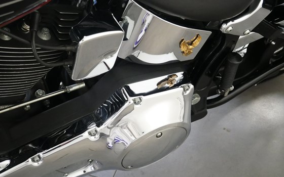 Gebrauchtmotorrad Harley-Davidson Softail Springer FXSTS - Bild 13