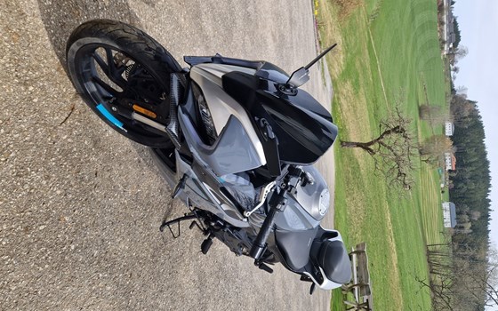 Gebrauchtmotorrad CFMOTO 300SR - Bild 3