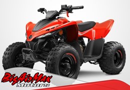 Neumotorrad CFMOTO CForce 110