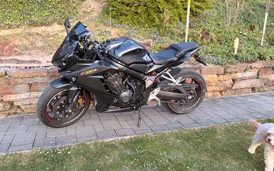 Gebrauchtmotorrad Honda CBR650R - Bild 18