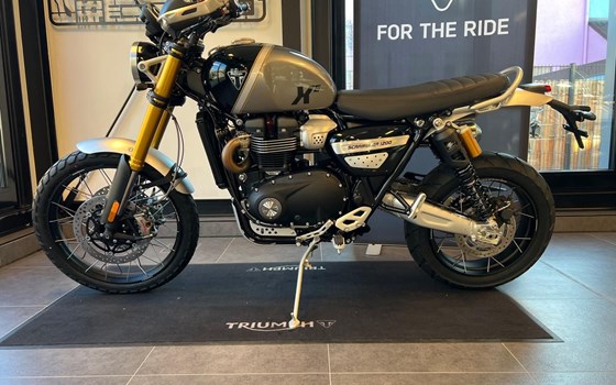 Neufahrzeug Triumph Scrambler 1200 XE - Bild 3