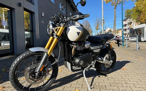 Neufahrzeug Triumph Scrambler 1200 XE - Bild 3