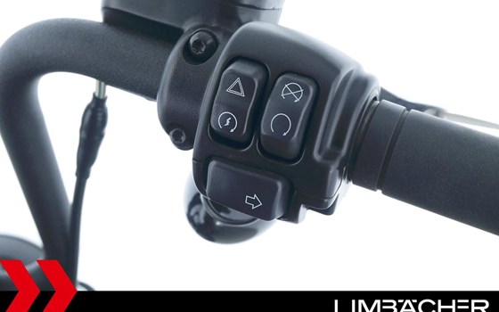 Gebrauchtmotorrad Harley-Davidson Softail Street Bob 114 FXBBS - Bild 21