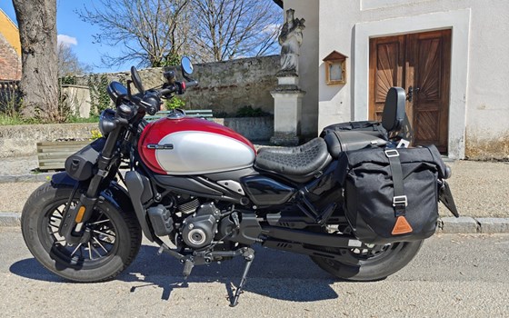 Gebrauchtmotorrad CFMOTO 450CL-C - Bild 3