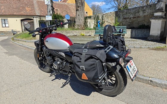 Gebrauchtmotorrad CFMOTO 450CL-C - Bild 5