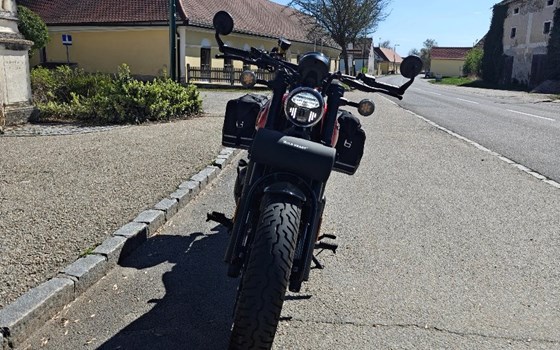 Gebrauchtmotorrad CFMOTO 450CL-C - Bild 7