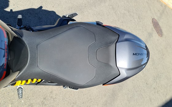 Neufahrzeug Ducati Monster + - Bild 6