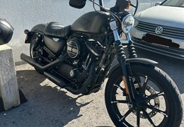 Gebrauchte Harley-Davidson Sportster XL 883