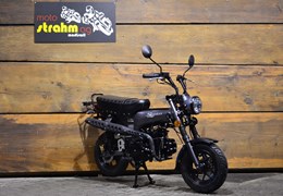 Neumotorrad Skyteam Skymax 125