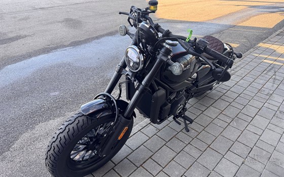 Neufahrzeug CFMOTO 450CL-C	Bobber - Bild 5