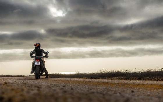 Neufahrzeug KTM 790 Adventure - Bild 8