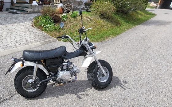 Gebrauchtmotorrad Skyteam T-Rex - Bild 2