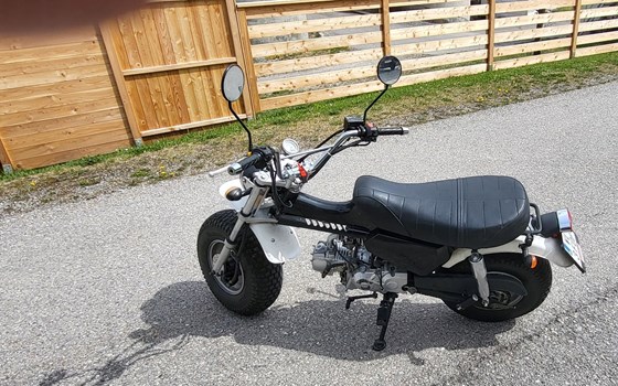 Gebrauchtmotorrad Skyteam T-Rex - Bild 4