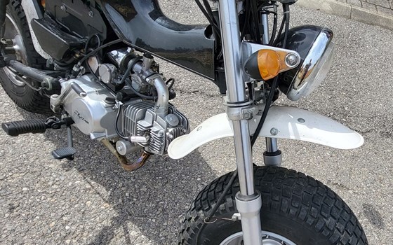 Gebrauchtmotorrad Skyteam T-Rex - Bild 5