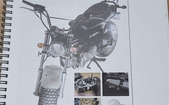 Gebrauchtmotorrad Skyteam T-Rex - Bild 6